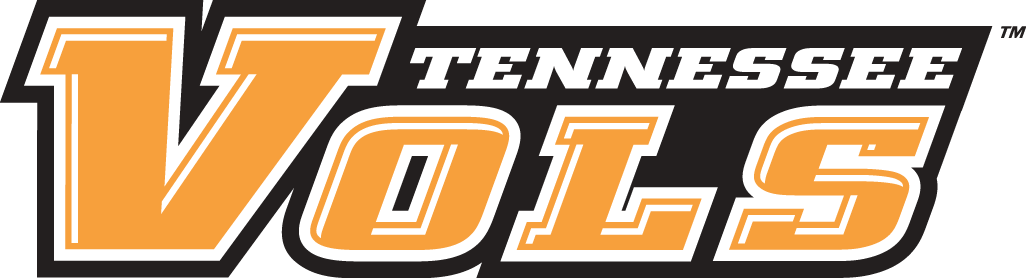 Tennessee Volunteers 2005-Pres Wordmark Logo v2 DIY iron on transfer (heat transfer)